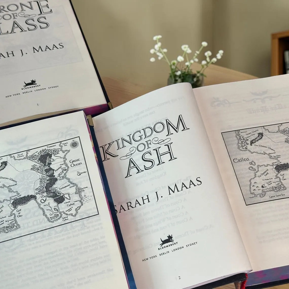 Throne of Glass 8 Book Set